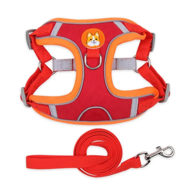 Adjustable Dog Harness No Pull