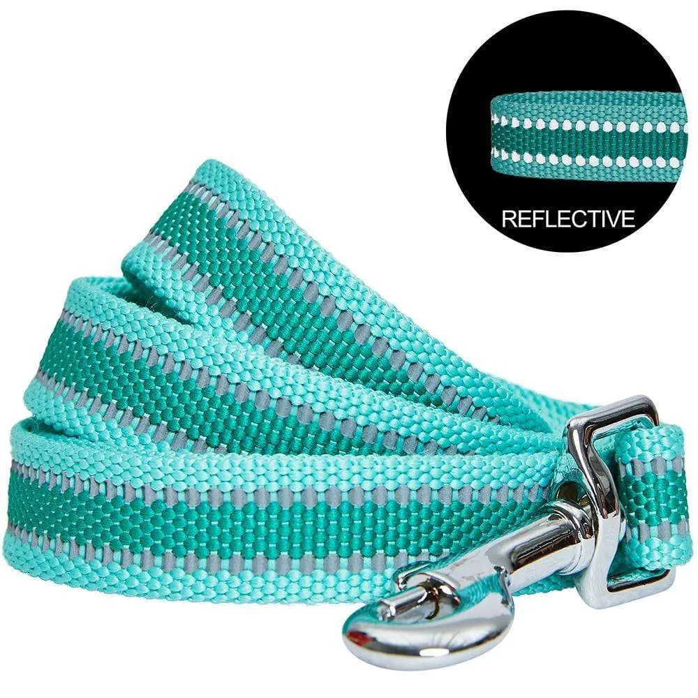Back to Basics Reflective Dog Leash
