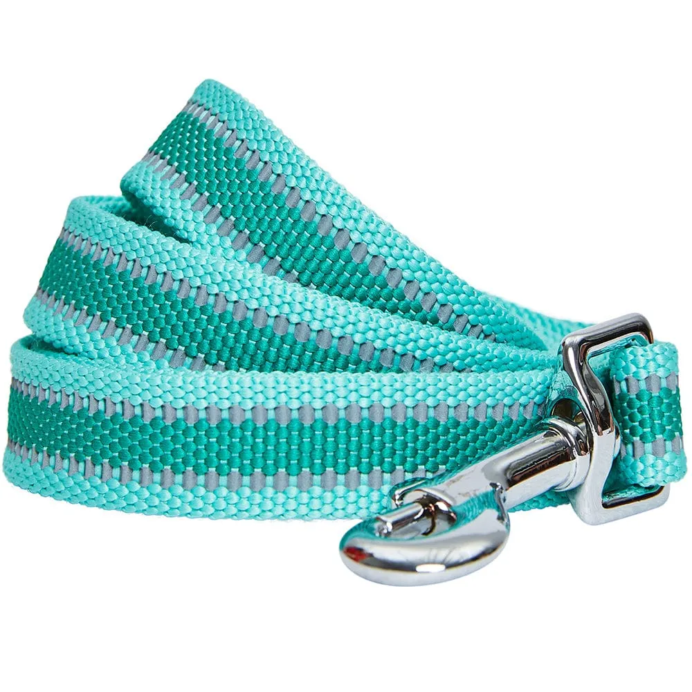 Back to Basics Reflective Dog Leash