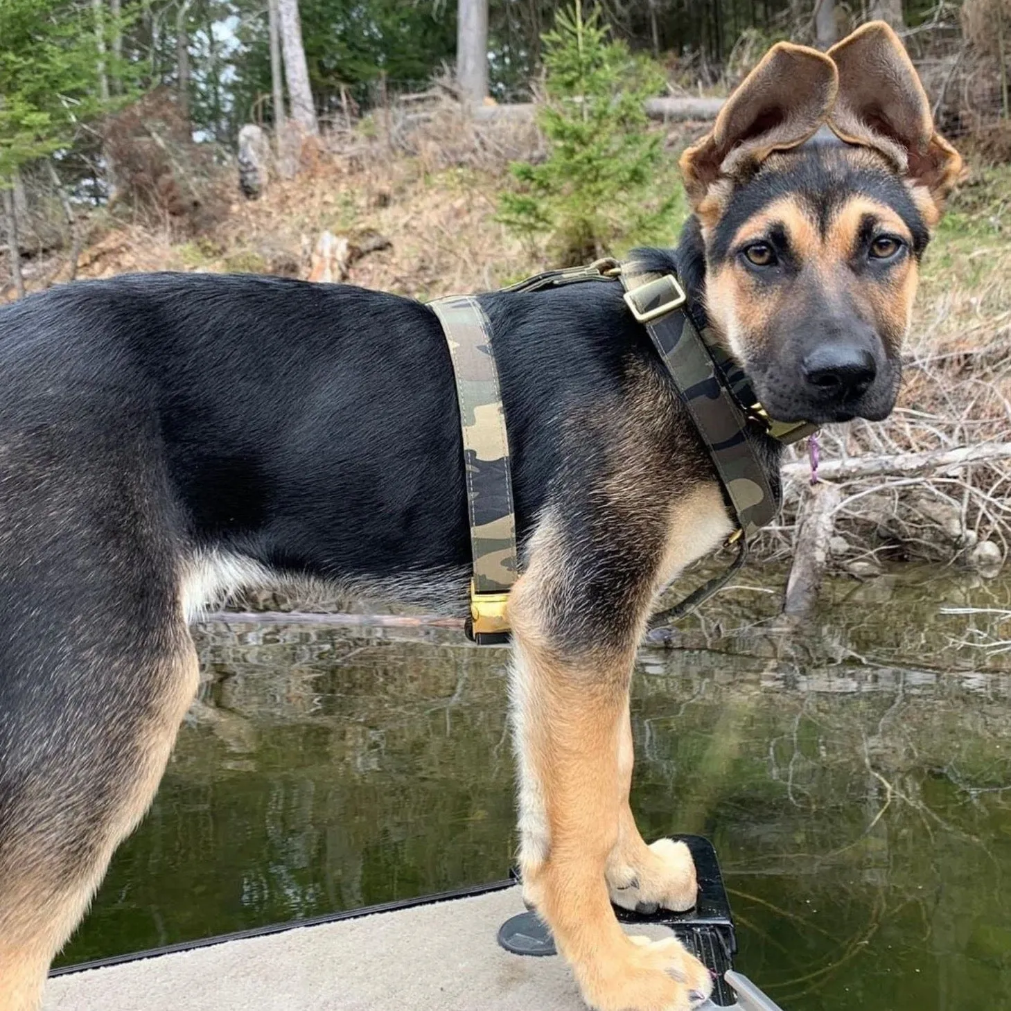 Camo Harness