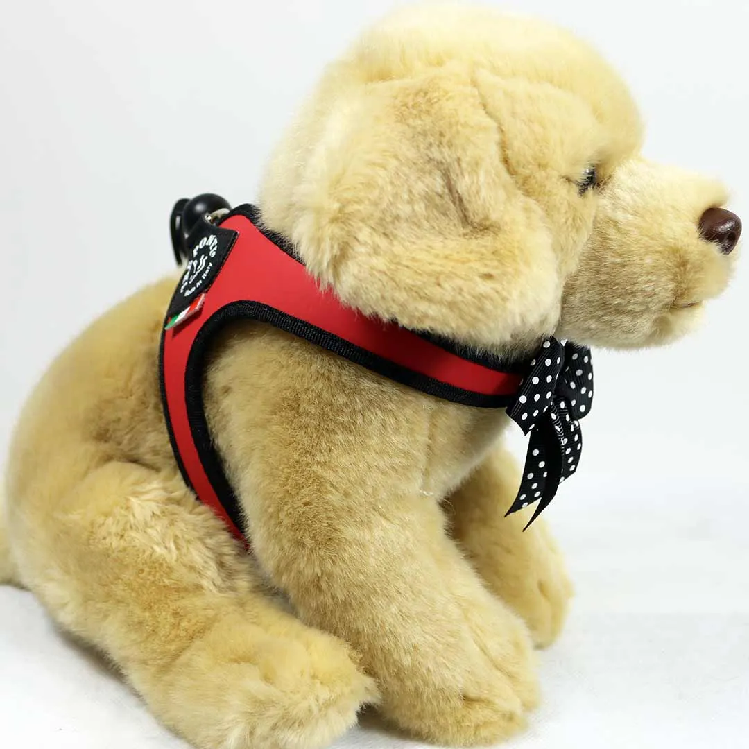 Charisma Strap