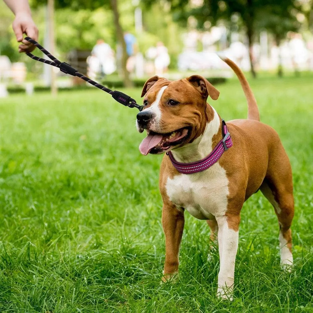DOCO® Reflective Traffic Rope Dog Leash - Click & Lock Snap - 20 inch