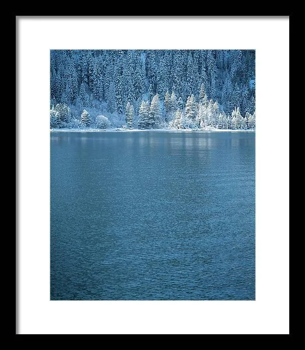 Emerald Bay Frozen Trees by Brad Scott - Framed Print
