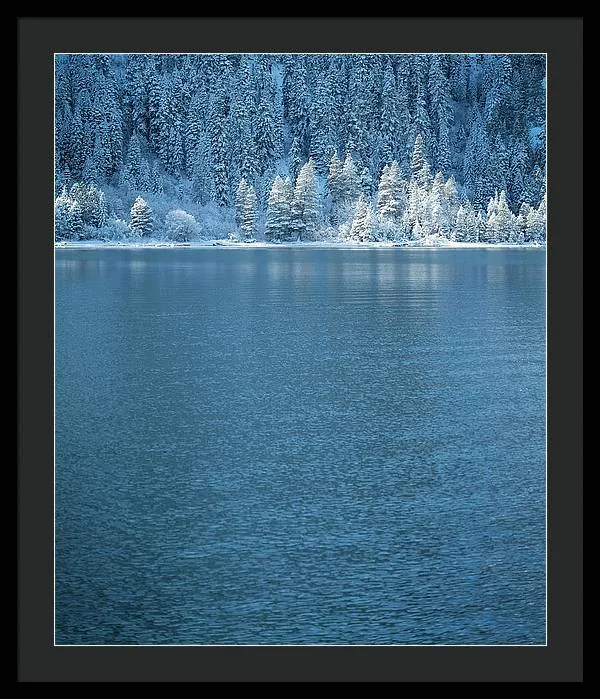 Emerald Bay Frozen Trees by Brad Scott - Framed Print