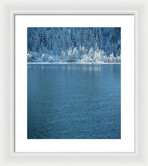 Emerald Bay Frozen Trees by Brad Scott - Framed Print