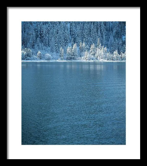 Emerald Bay Frozen Trees by Brad Scott - Framed Print