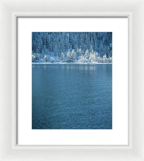 Emerald Bay Frozen Trees by Brad Scott - Framed Print