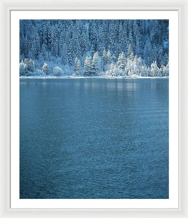 Emerald Bay Frozen Trees by Brad Scott - Framed Print