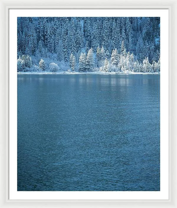 Emerald Bay Frozen Trees by Brad Scott - Framed Print