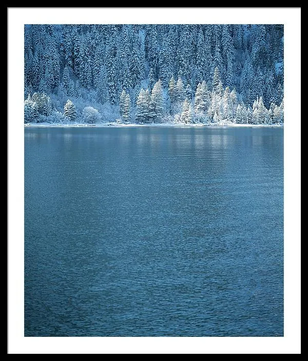 Emerald Bay Frozen Trees by Brad Scott - Framed Print