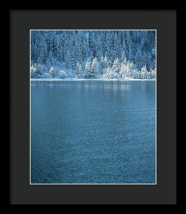 Emerald Bay Frozen Trees by Brad Scott - Framed Print