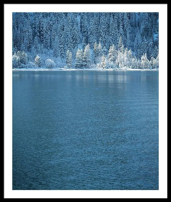 Emerald Bay Frozen Trees by Brad Scott - Framed Print