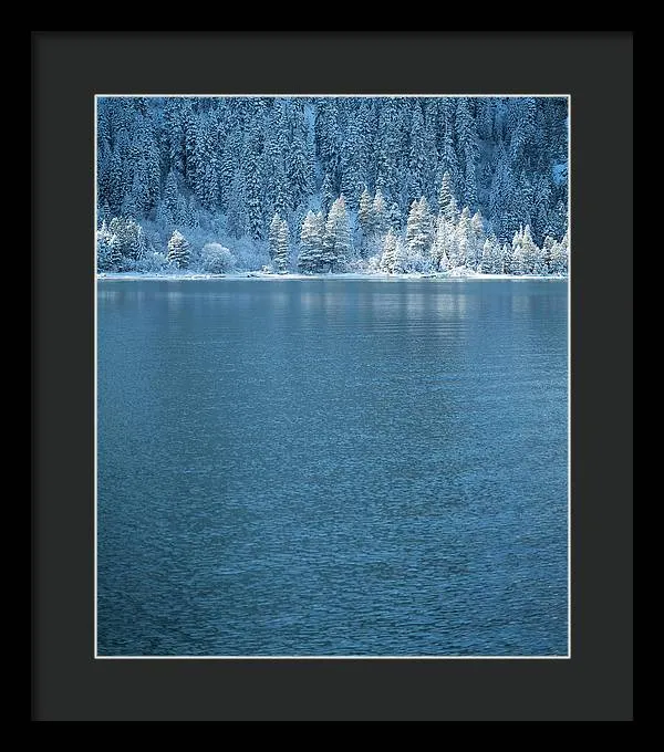 Emerald Bay Frozen Trees by Brad Scott - Framed Print