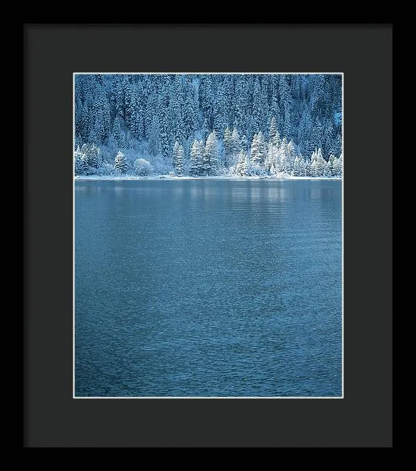 Emerald Bay Frozen Trees by Brad Scott - Framed Print