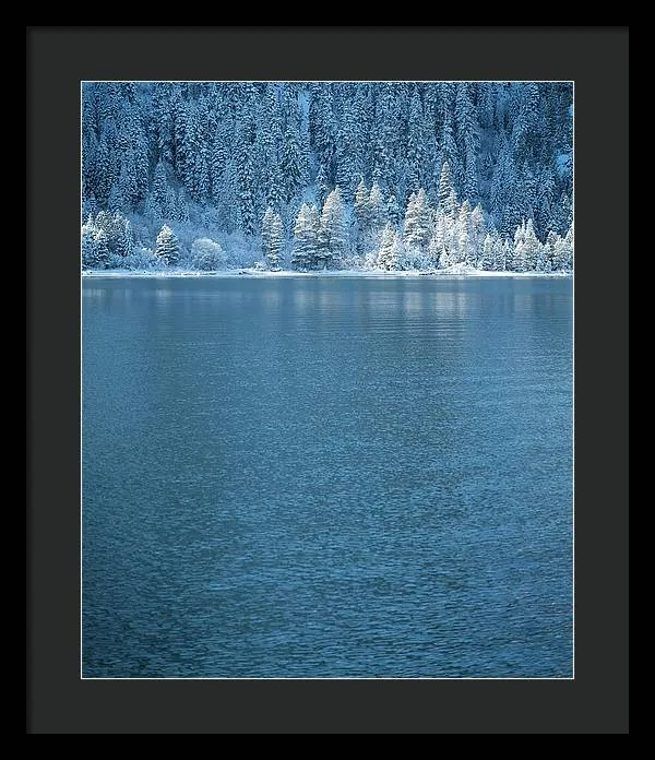 Emerald Bay Frozen Trees by Brad Scott - Framed Print