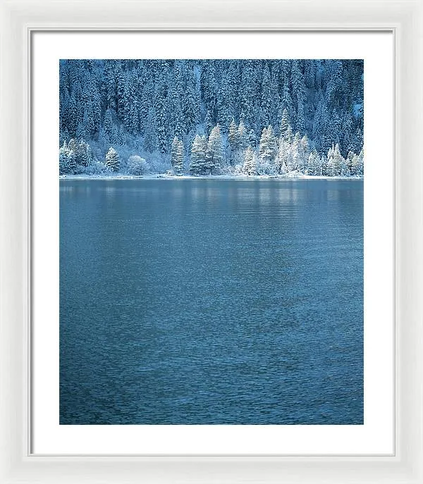 Emerald Bay Frozen Trees by Brad Scott - Framed Print