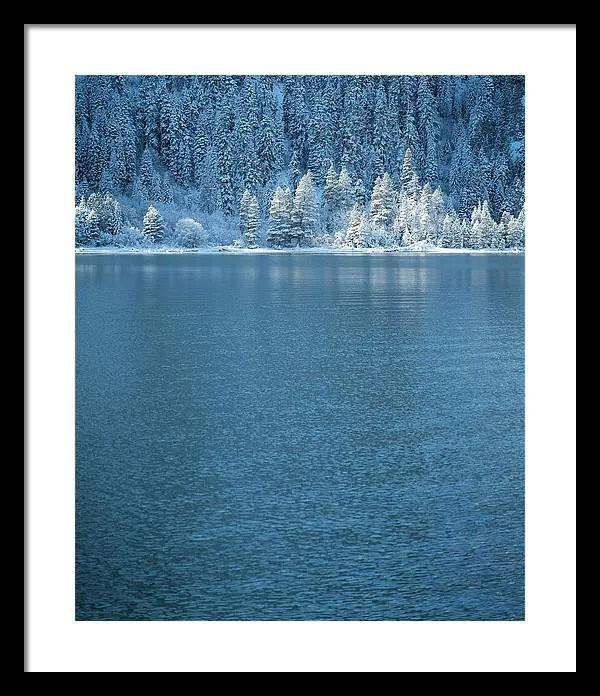 Emerald Bay Frozen Trees by Brad Scott - Framed Print