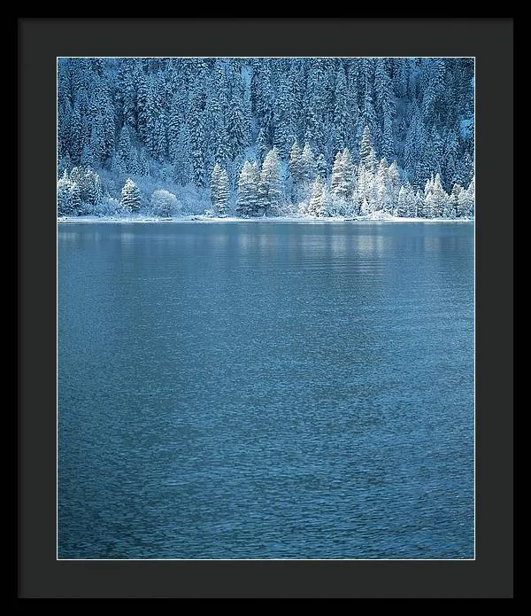 Emerald Bay Frozen Trees by Brad Scott - Framed Print