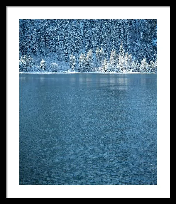 Emerald Bay Frozen Trees by Brad Scott - Framed Print