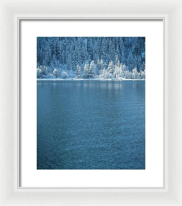 Emerald Bay Frozen Trees by Brad Scott - Framed Print