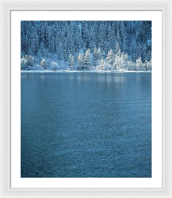 Emerald Bay Frozen Trees by Brad Scott - Framed Print