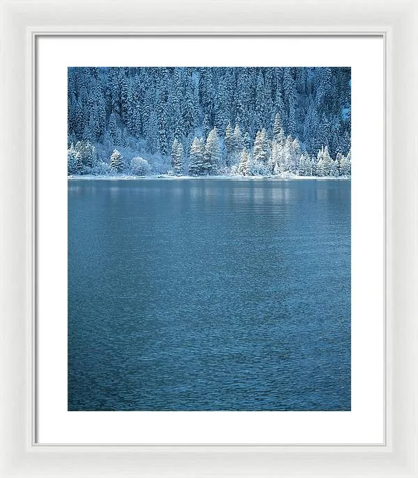 Emerald Bay Frozen Trees by Brad Scott - Framed Print