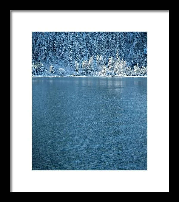 Emerald Bay Frozen Trees by Brad Scott - Framed Print