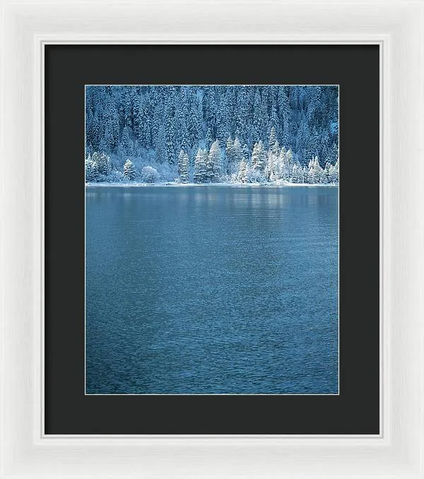 Emerald Bay Frozen Trees by Brad Scott - Framed Print