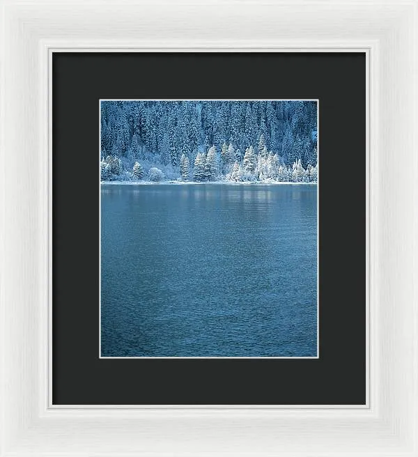 Emerald Bay Frozen Trees by Brad Scott - Framed Print