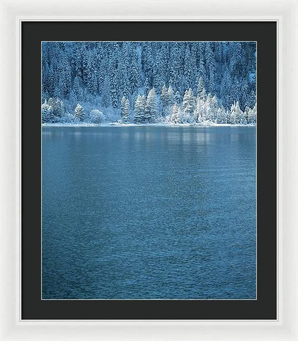 Emerald Bay Frozen Trees by Brad Scott - Framed Print