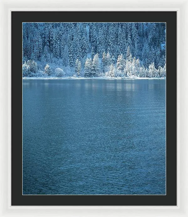 Emerald Bay Frozen Trees by Brad Scott - Framed Print