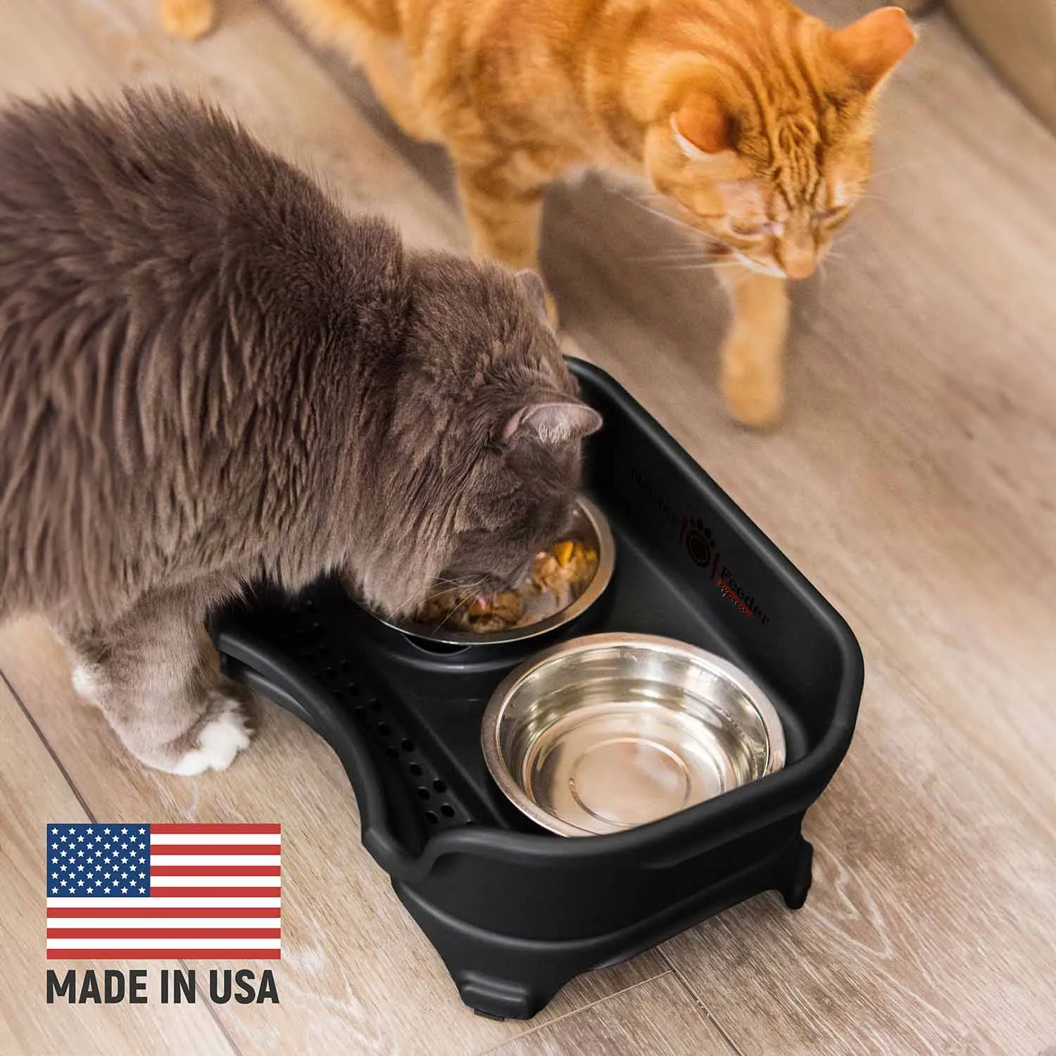EXPRESS Neater Feeders for Cats