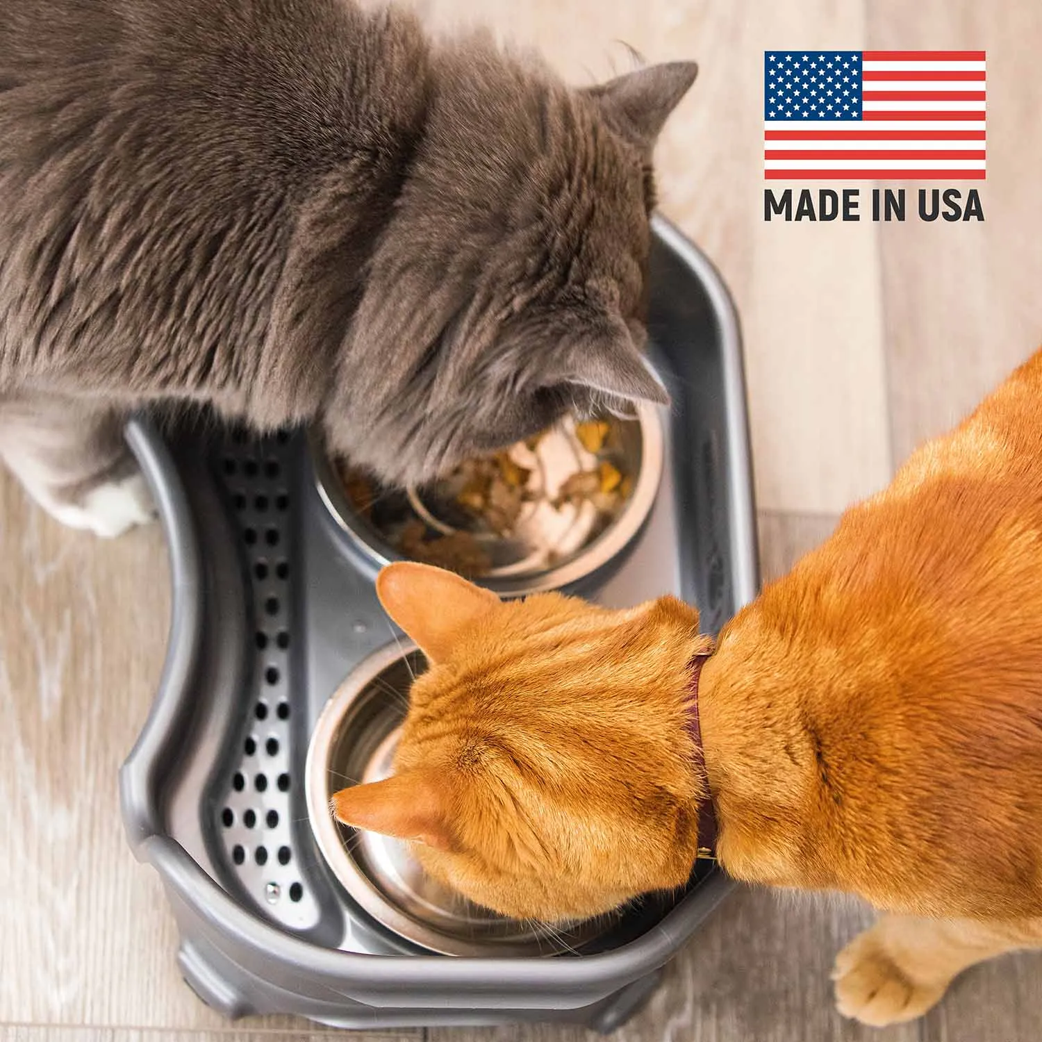 EXPRESS Neater Feeders for Cats