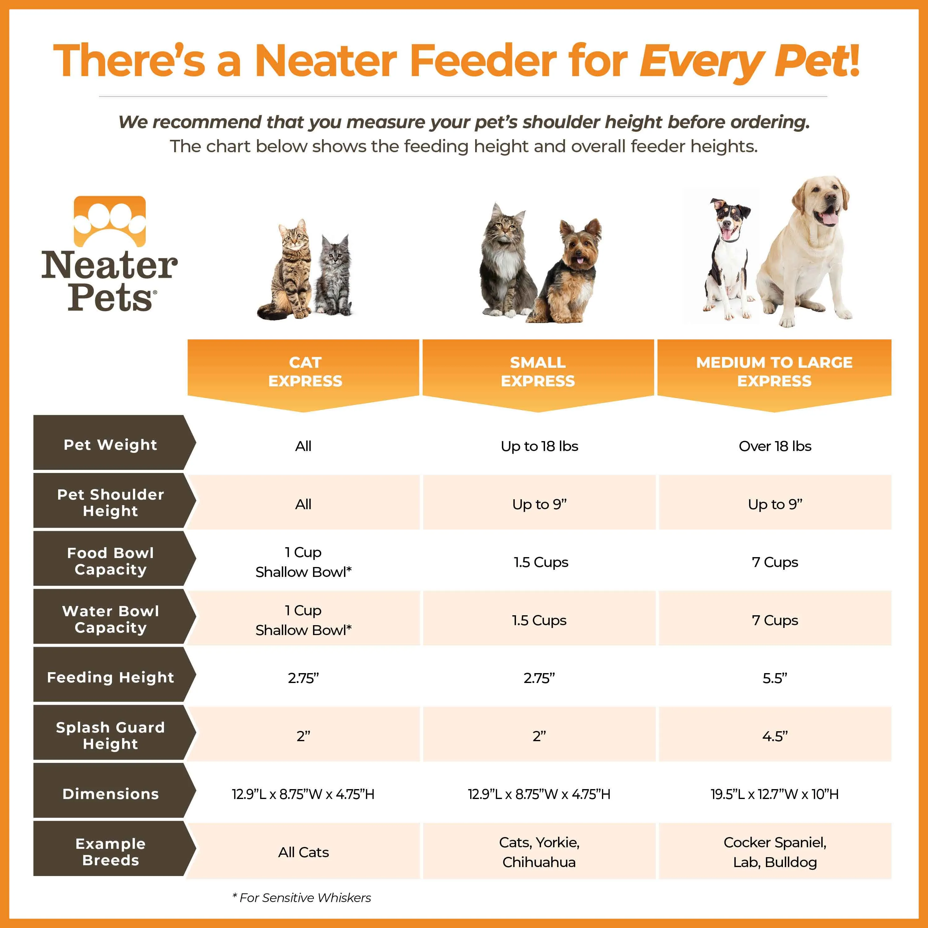 EXPRESS Neater Feeders for Cats