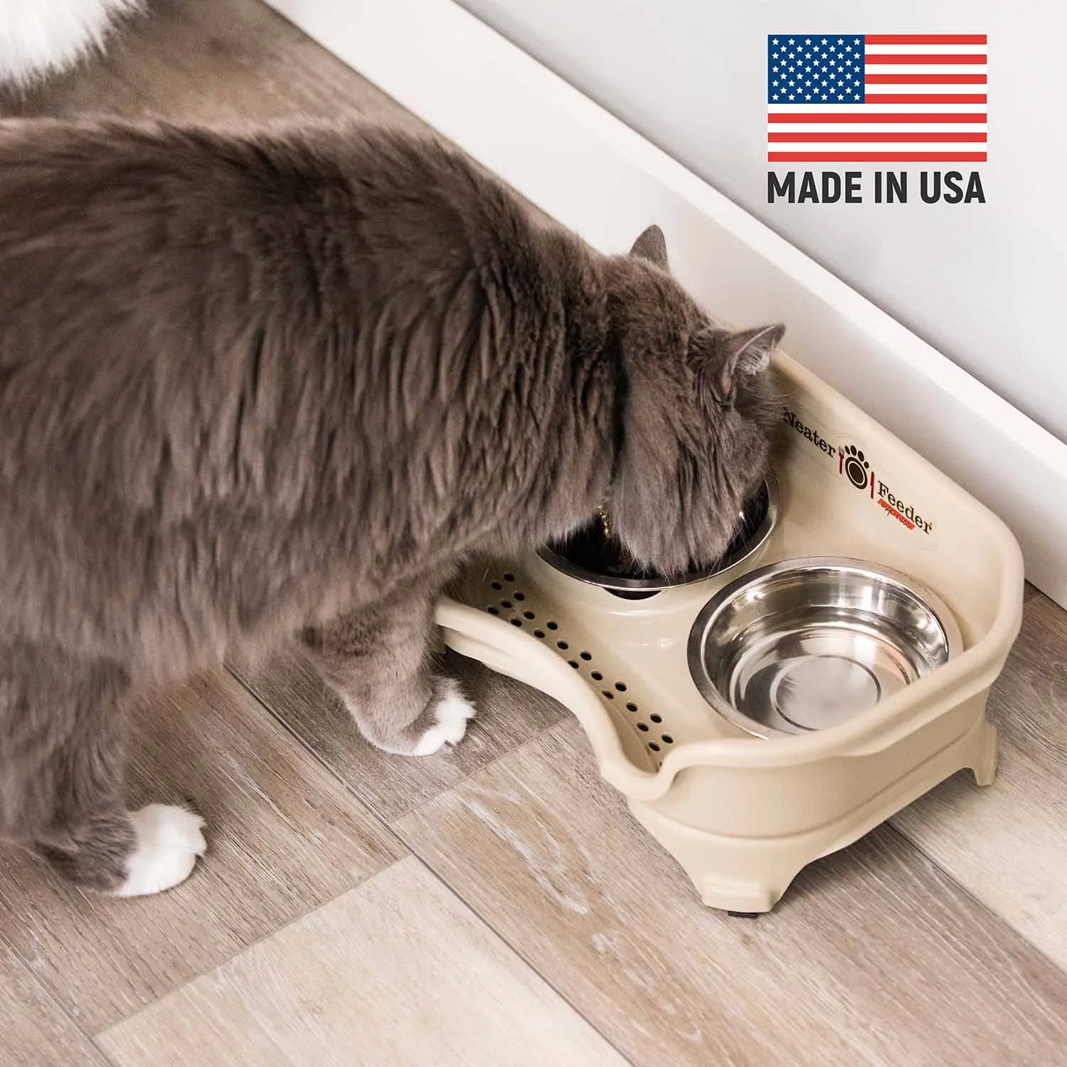EXPRESS Neater Feeders for Cats
