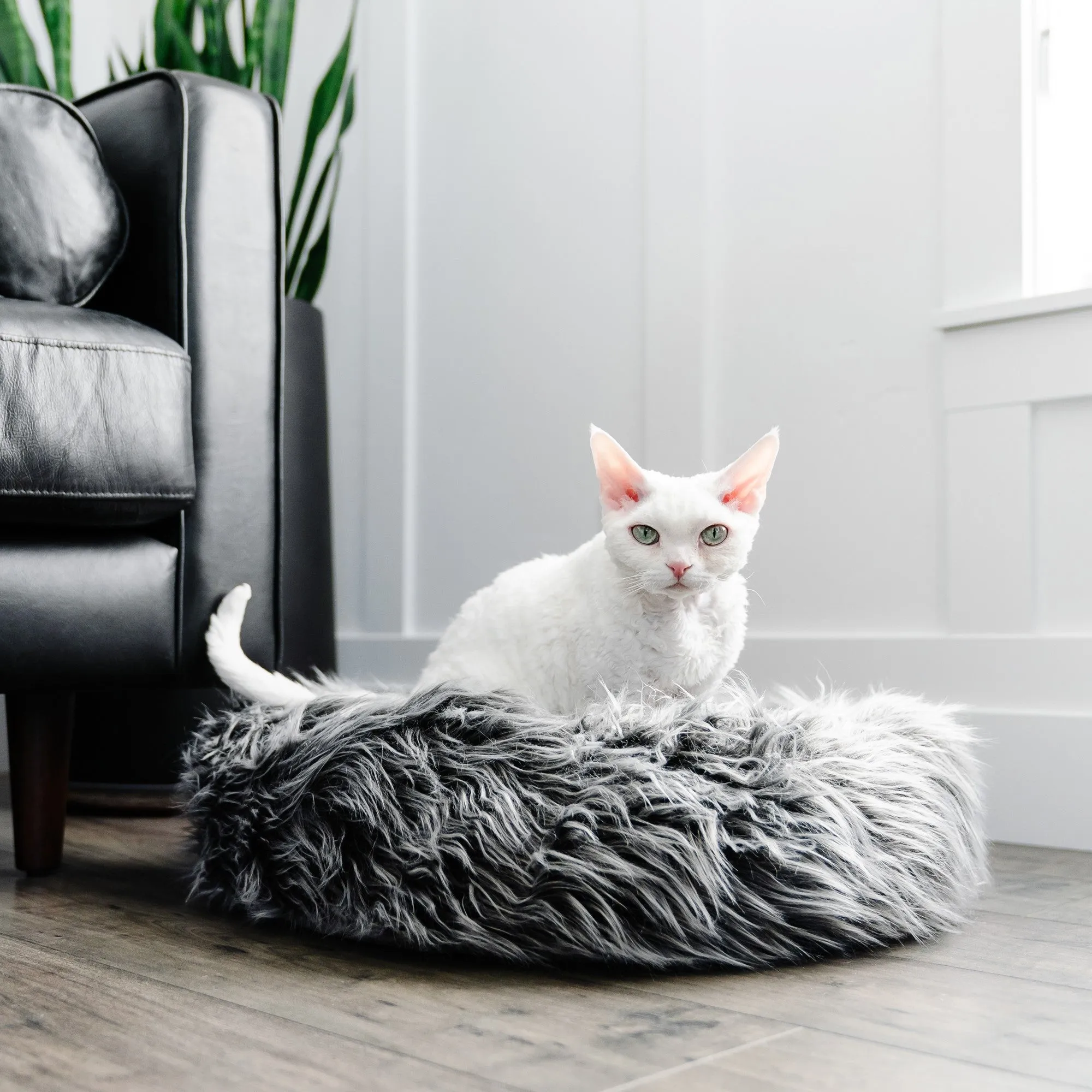 Fluffi Donut Cat & Dog Bed