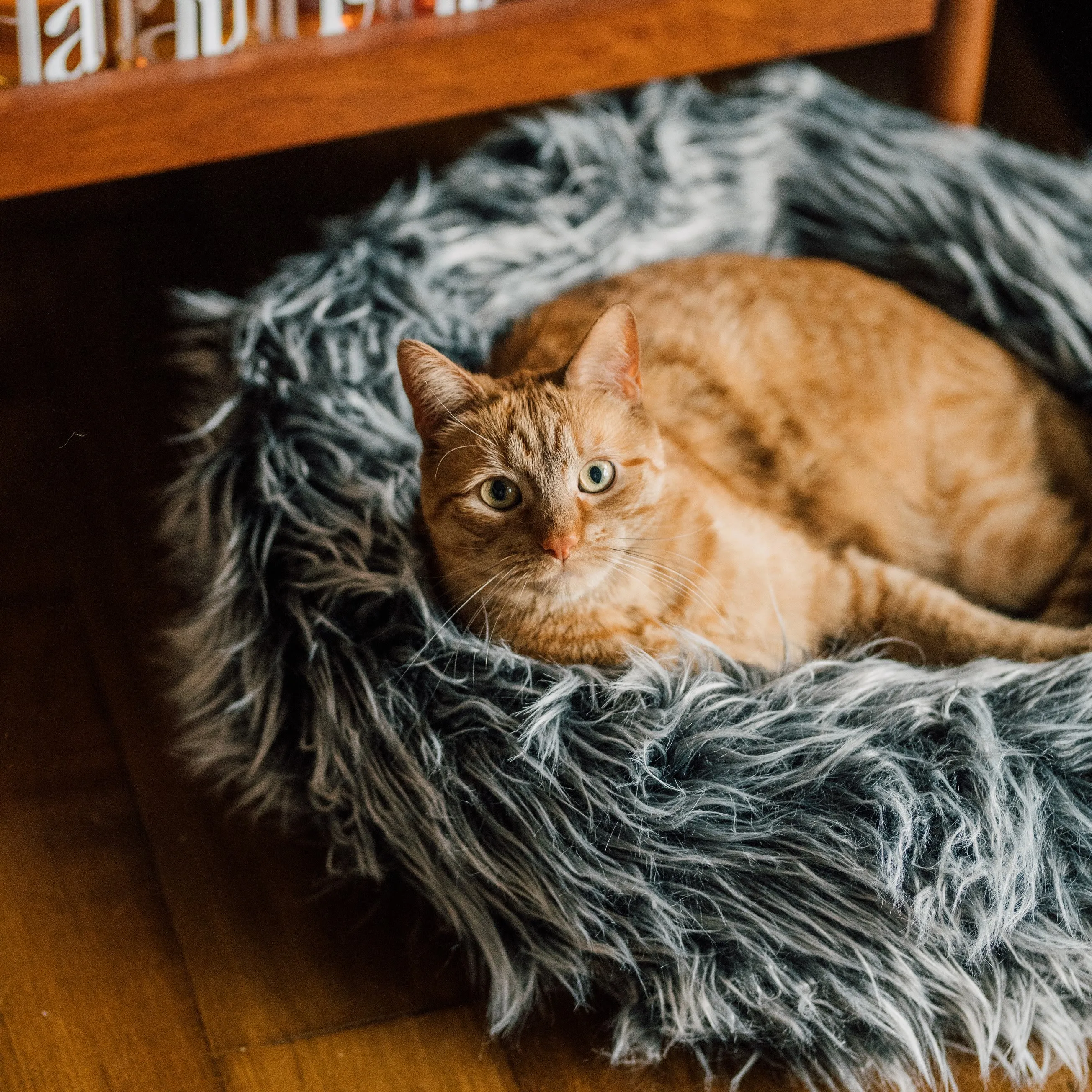 Fluffi Donut Cat & Dog Bed