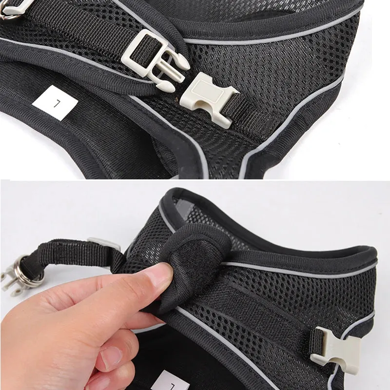 Harness and Leash Set for Small Dogs