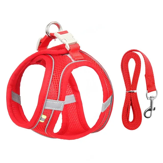 Harness and Leash Set for Small Dogs