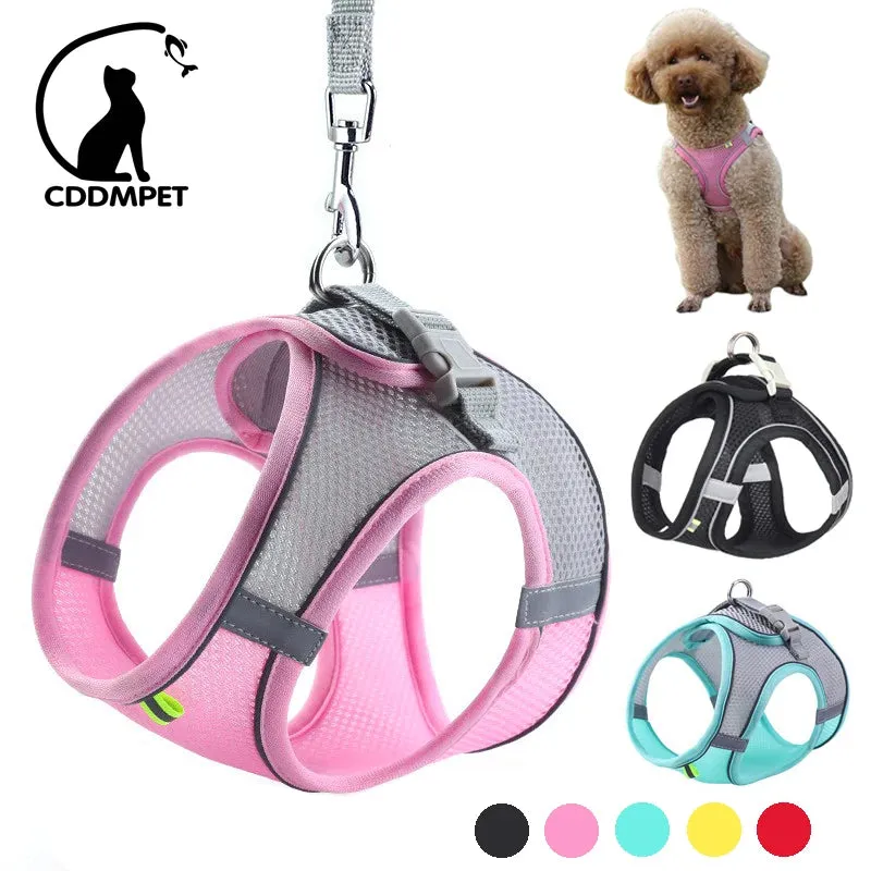 Harness and Leash Set for Small Dogs