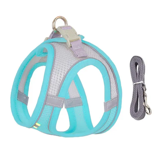 Harness and Leash Set for Small Dogs
