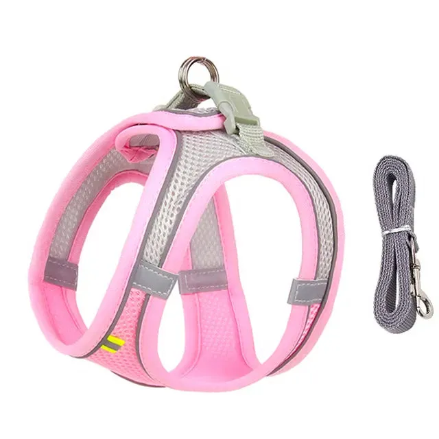 Harness and Leash Set for Small Dogs