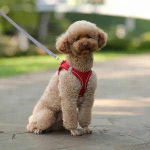 Harness and Leash Set for Small Dogs