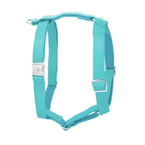 Icy Blue Harness
