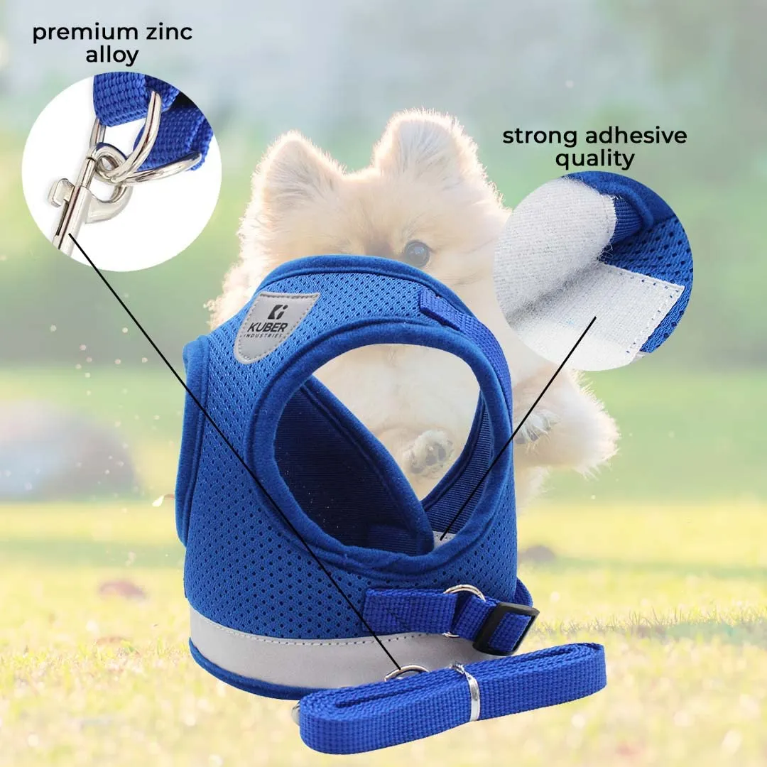 Kuber Industries Dog Harness With Adjustable Leash|Breathable Polyester Mesh Fabric |Large Size|HT-844|Comfortable No-Pull Grip|Quick Release Buckles|Blue