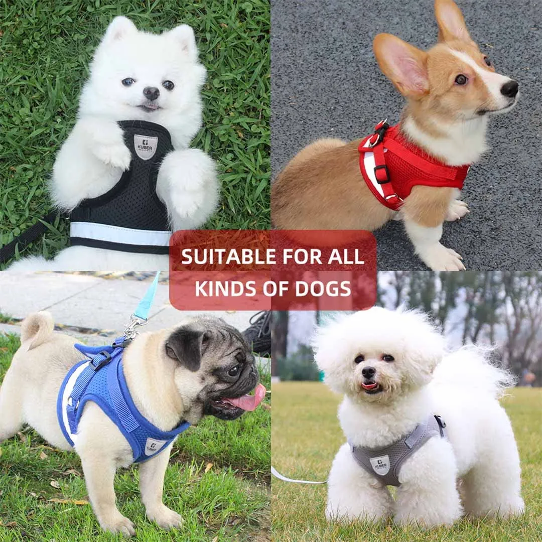 Kuber Industries Dog Harness With Adjustable Leash|Breathable Polyester Mesh Fabric |Large Size|HT-844|Comfortable No-Pull Grip|Quick Release Buckles|Blue