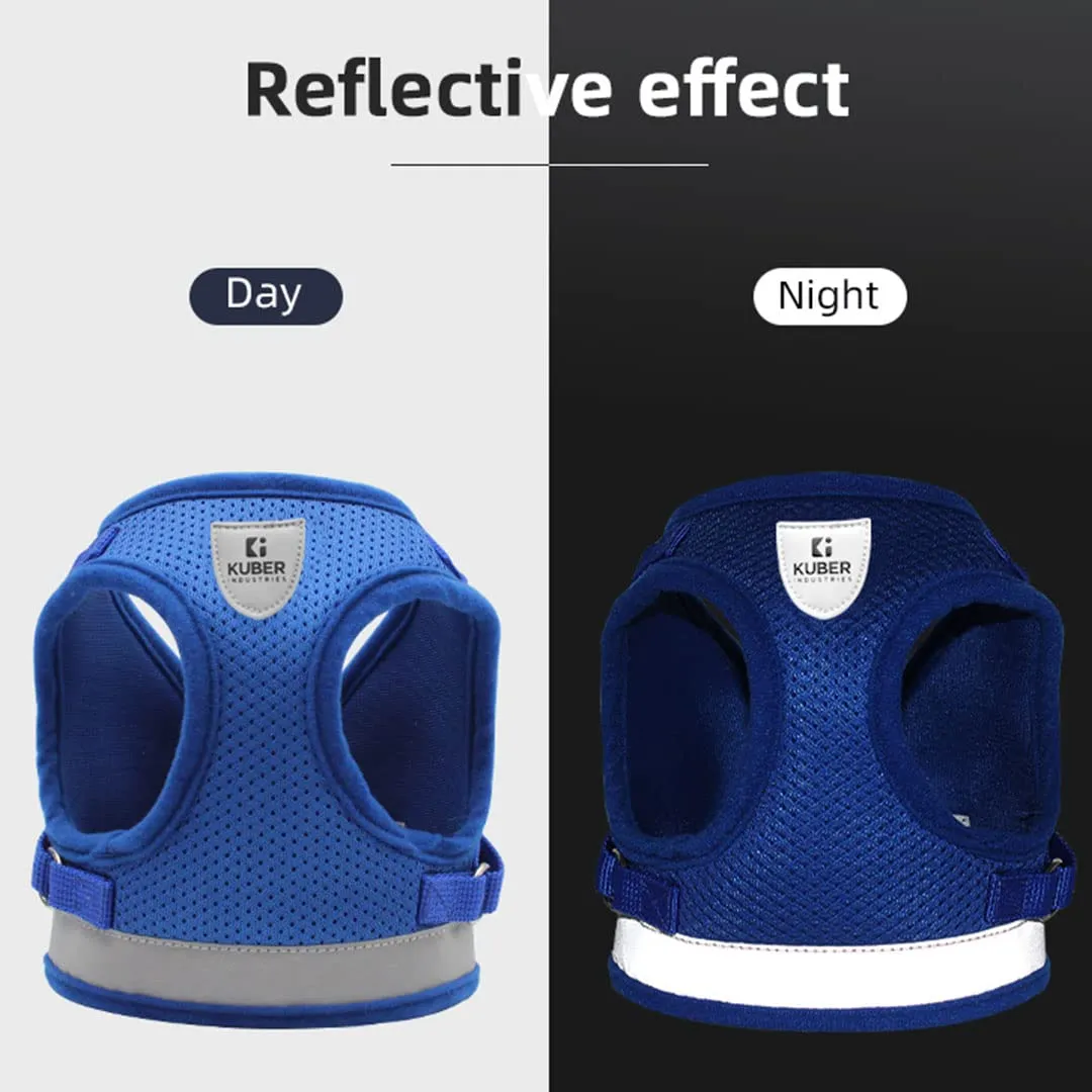 Kuber Industries Dog Harness With Adjustable Leash|Breathable Polyester Mesh Fabric |Large Size|HT-844|Comfortable No-Pull Grip|Quick Release Buckles|Blue