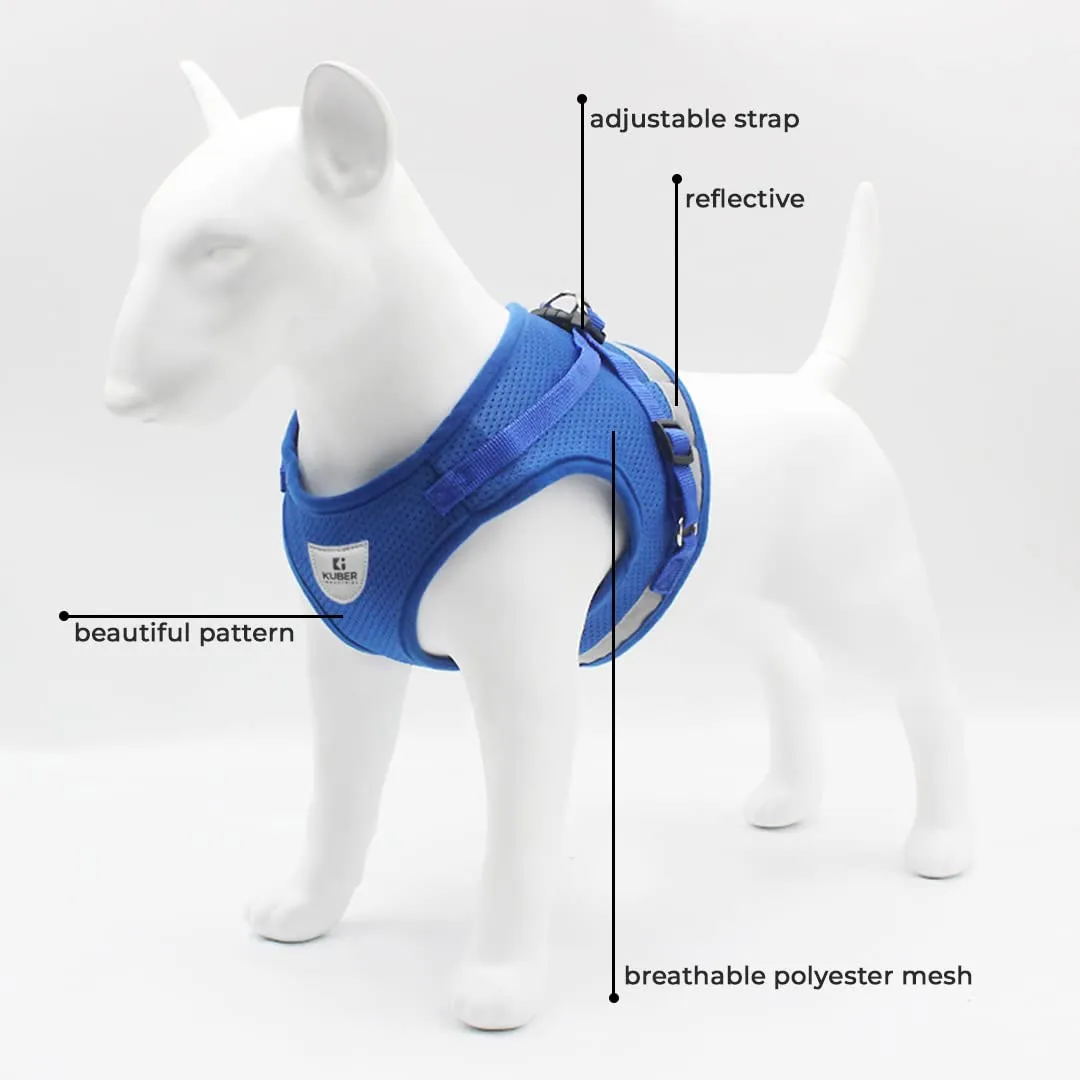 Kuber Industries Dog Harness With Adjustable Leash|Breathable Polyester Mesh Fabric |Large Size|HT-844|Comfortable No-Pull Grip|Quick Release Buckles|Blue