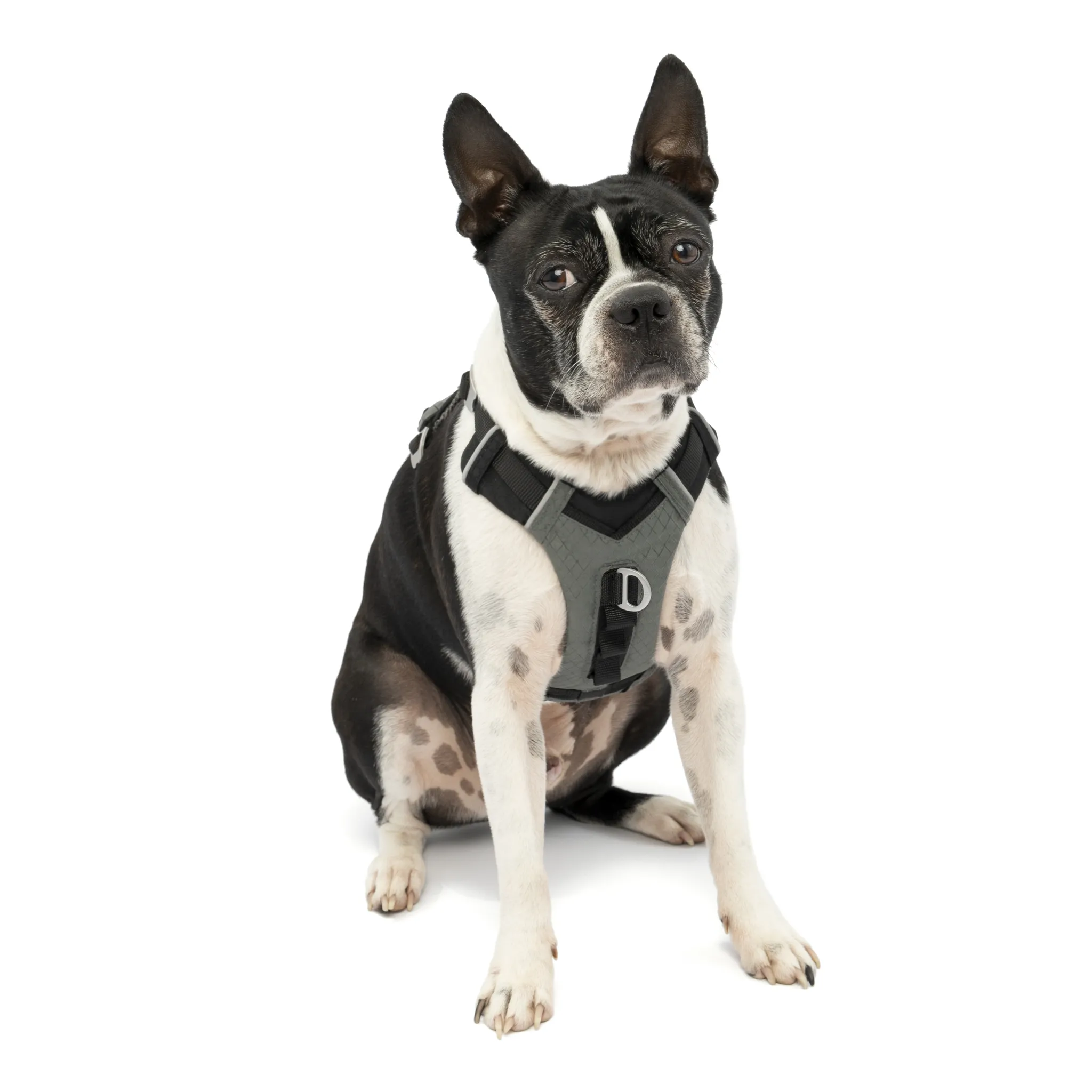 Kurgo Journey Air Dog Harness Black