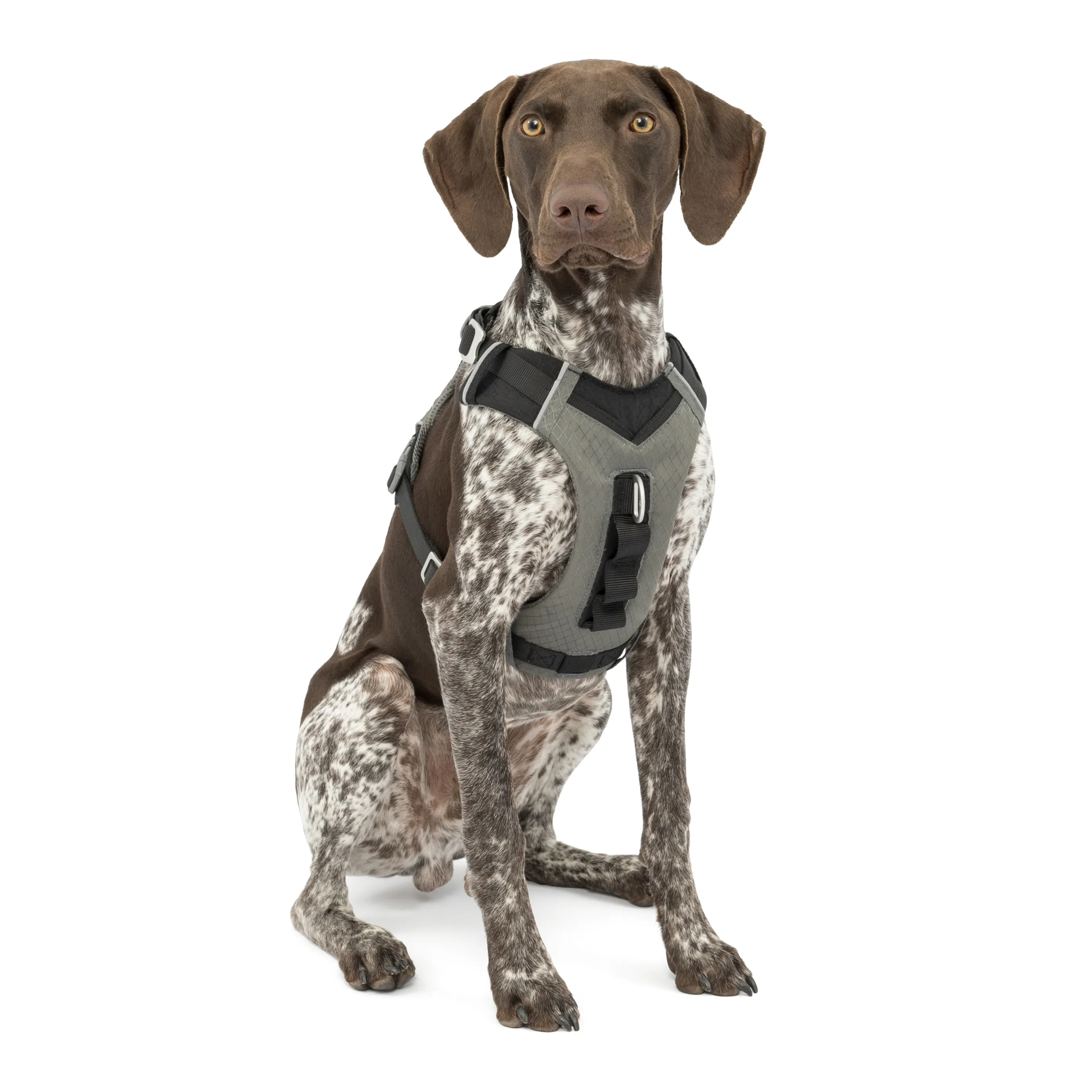 Kurgo Journey Air Dog Harness Black